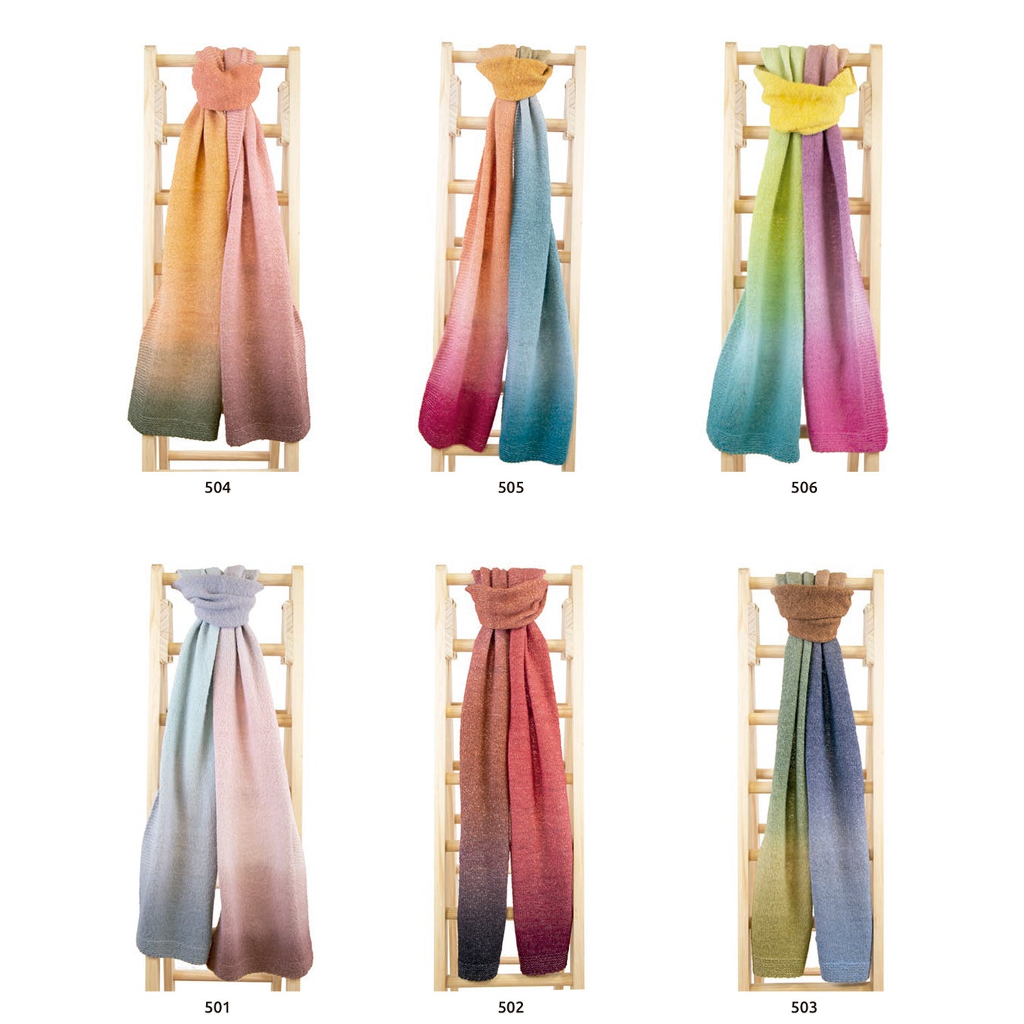 Katia Holi Sunshine (504)