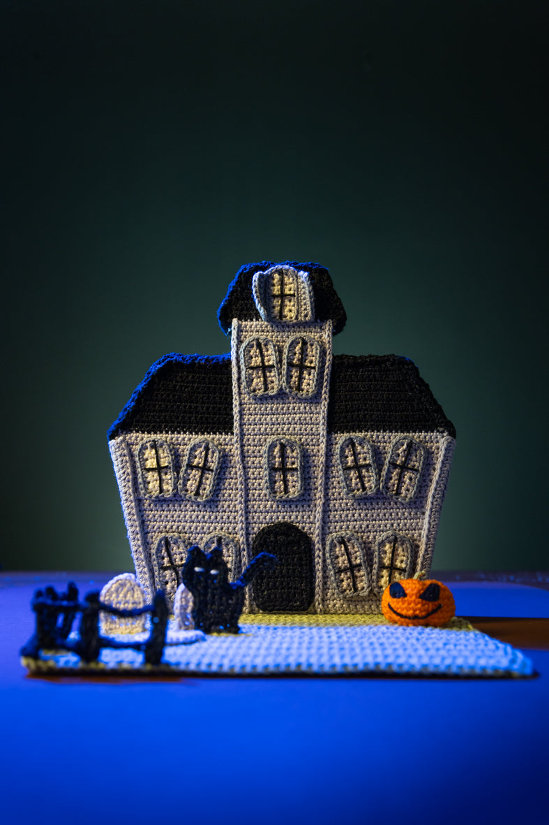 Kerstdorp Haken met Mr. Cey