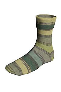 Lang Yarns Super Soxx Color Merino Color 4ply Elementsoxx Wood (527)