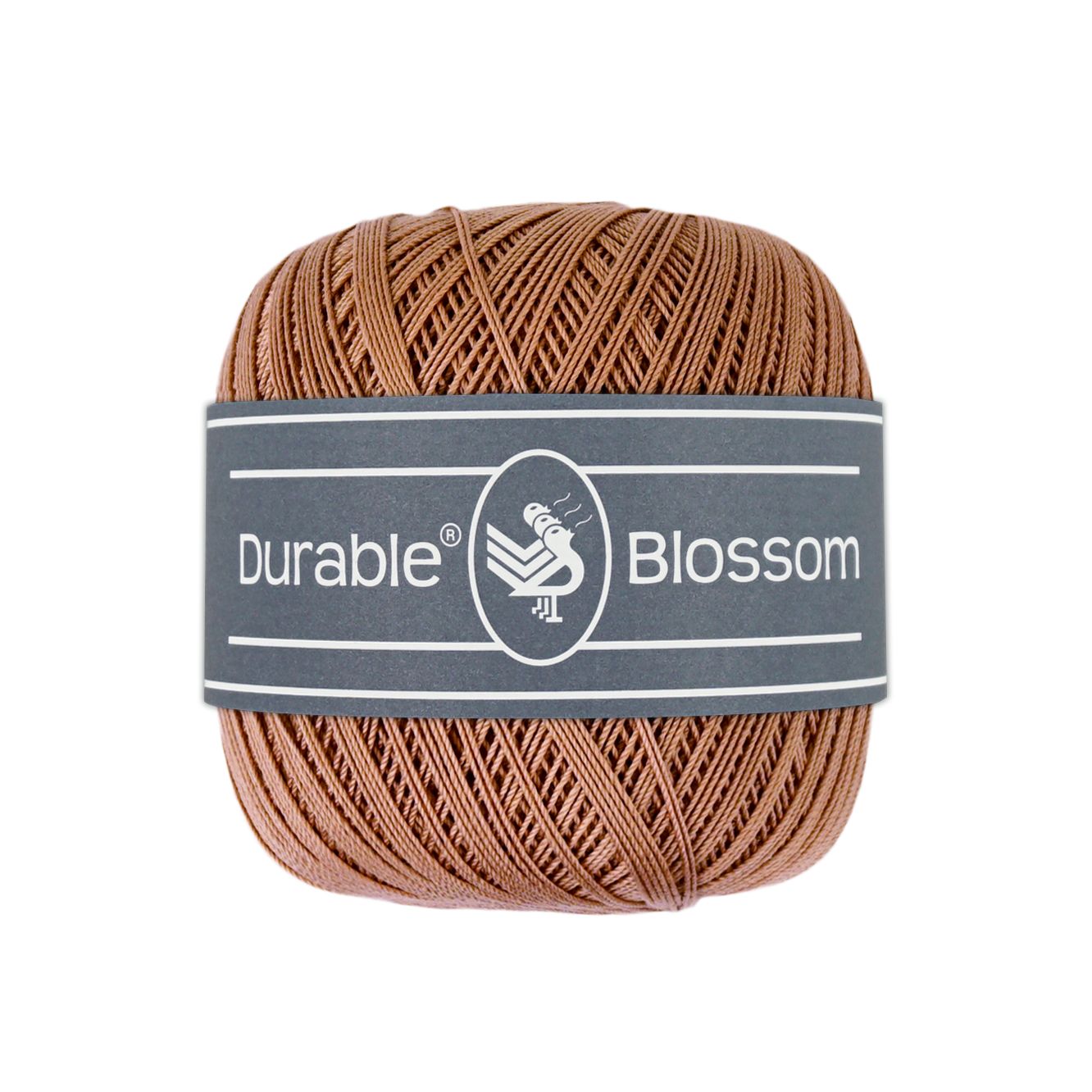 Durable Blossom Hazelnut (2218)