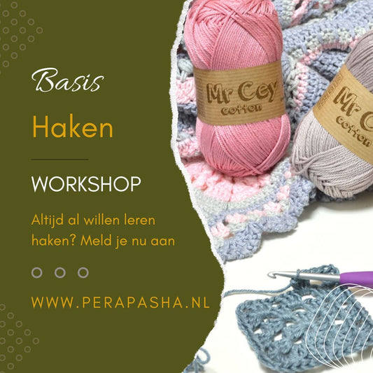 Workshop Basis Haken Les 1 en 2 (11 januari en 18 januari 2025)