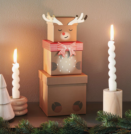 Cadeaudozen-set Rendier 5-delig (401160)