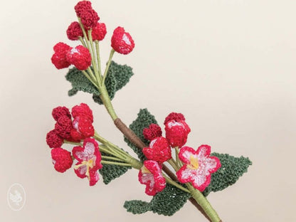 Appelbloesem garenpakket inclusief haakpatroon