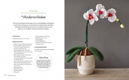 Kamerplanten haken (BK2026)