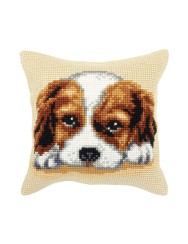 Orchidea KP puppy 40x40cm (WEB ONLY)