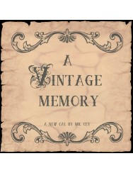 Vintage Memory Deken CAL (Haakpatroon)