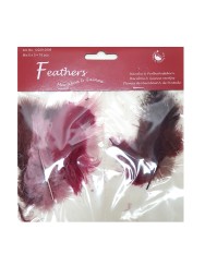 Feathers mix 12229-2909