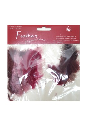 Feathers mix 12229-2909