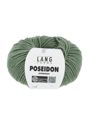 Lang Yarns Poseidon Sage Green (0091)