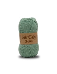 Mr. Cey Sokz Seafoam (008)