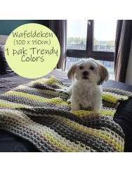 Trendy Colors Dekens (Haakpatroon)