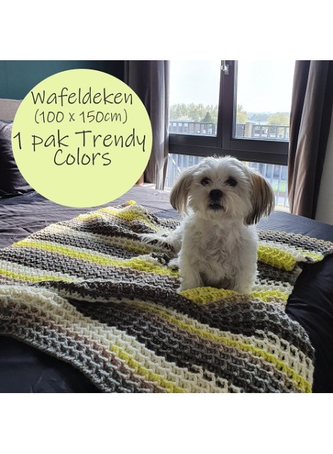 Trendy Colors Dekens (Haakpatroon)